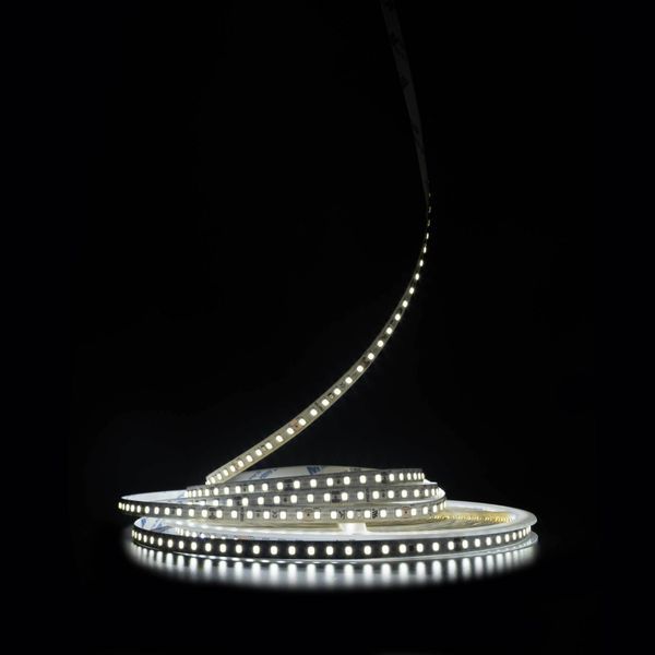 Светодиодная LED лента PROLUM&trade; 24V; 2835\120; IP20; MAX 20M; Series "SG", Белый, 6500К 350024 &ndash; поставщик электрооборудования для автоматизации пространства Polygon Center