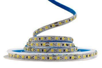 Светодиодная LED лента PROLUM&trade; 12V; 2835\120; IP20; S-TYPE Series "SG", Белый, 6500К 320121 &ndash; поставщик электрооборудования для автоматизации пространства Polygon Center