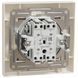 Schneider Electric Asfora EPH0300123 Выключатель двухклавишный самозажимной 0015592, 2/2 - Polygon Center
