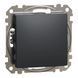 Schneider Electric Sedna Design & Elements SDD114101 Вимикач 0021769, 1/3 - Polygon Center