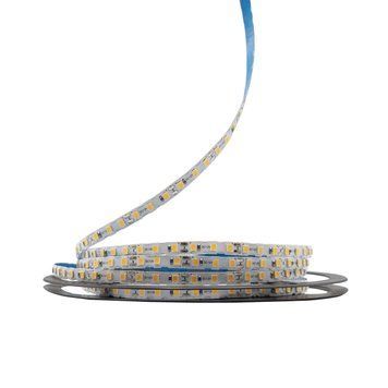 Светодиодная LED лента PROLUM&trade; 12V; IP20; 2835\120; S-TYPE; Series "S", Тепло-Белый, 3000К 320129 &ndash; поставщик электрооборудования для автоматизации пространства Polygon Center