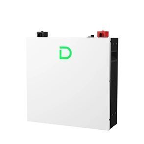 Dyness DL5.0C PRO 51.2В 5.12 кВт&bull;ч 100А с подогревом Wi-Fi модулем Литиевая аккумуляторная батарея 0035251 &ndash; поставщик электрооборудования для автоматизации пространства Polygon Center